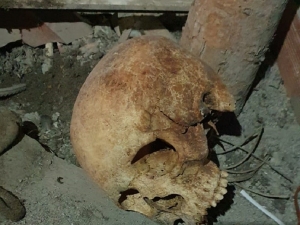 Çatı Katında Kafatası Bulundu