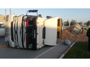 Talaş Yüklü Tır Devrildi, Facianın Eşiğinden Dönüldü