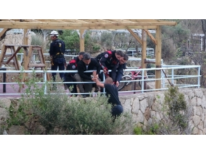 Polis, Çiçek Sözüyle Genci İntihardan Vazgeçirdi