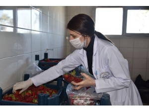 Aliağalıların Gıda İhtiyaçları Tek Tıkla Kapılarına Ulaşıyor