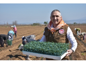 Tarımsal Ürün Alanlarına Yerinde İnceleme