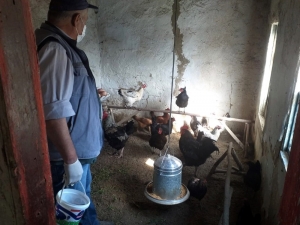 Karantina Altındaki Köydeki Tavukları Ve Köpeği İçin Cimer’e Başvurdu