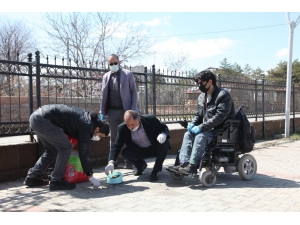 Ahlat’ta Sokak Hayvanları Unutulmadı