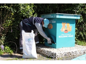 Nilüfer’de Can Dostlar İçin Seferberlik