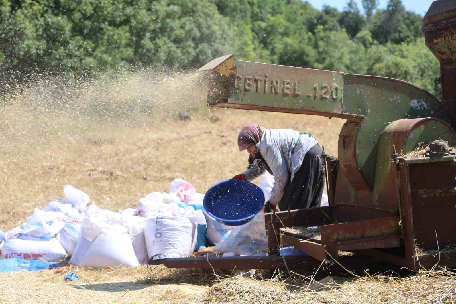 hatayli-ciftcilerin-kavurucu-sicakta-tozlu-mesaisi-suruyor