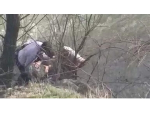 İntihar Etmek İsteyen Genç Kızı Boğulmaktan Kurtaran Polislere Ödül