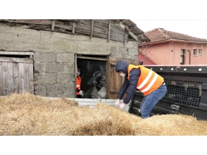 Başiskele Belediyesi 65 Yaş Üstü Vatandaşın Saman Talebini Karşıladı