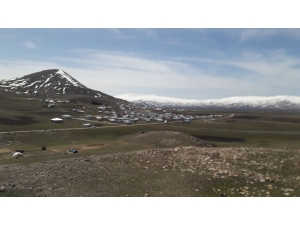 Van’da Bir Mahalle Daha Karantinaya Alındı