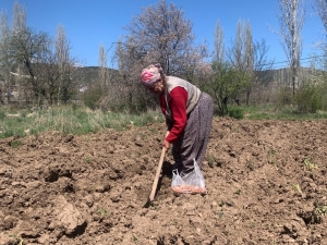 76 Yaşındaki Eşi Dışarı Çıkamadığı İçin Tarlasını Tek Başına Çapalayıp Ekiyor