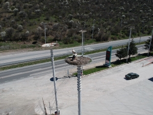 Kanatlarında Baharı Getirdiler