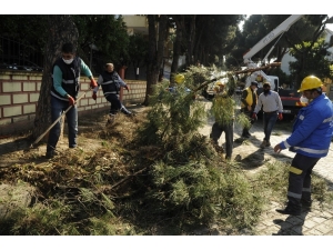 Aydın Büyükşehir Ve Nazilli Belediyesi’nden Ortak Çalışma