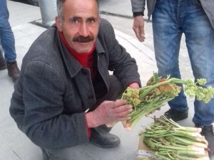 Hakkari’de ‘Yayla Muzu’ Uçkuna Yoğun İlgi