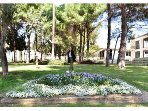 Dokumapark Çiçek Açtı