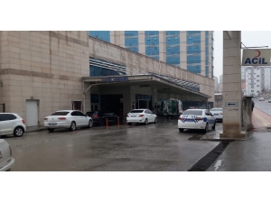 Atla Eve Giden Çocukların Üzerine Yıldırım Düştü: 1 Ölü, 2 Yaralı