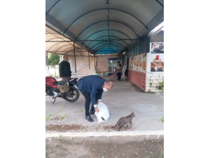 Ortaca’da Sokak Hayvanları Aç Ve Susuz Kalmıyor