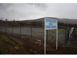 Kaymakam Sancaktutar, Geçici Hayvan Barınağında İncelemelerde Bulundu