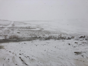 2225 Rakımlı Kurubaş Geçidi’nde Kar Yağışı