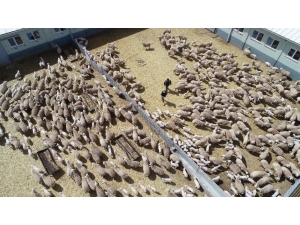 Ana Kuzuları Böyle Görüntülendi