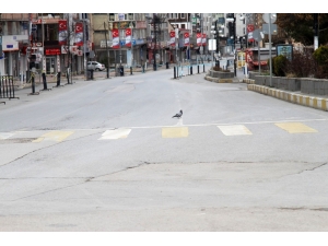 Van, Hayalet Şehre Döndü