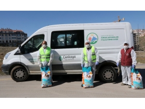 Çankaya’dan Can Dostlara Yardım Eli