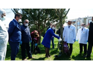 Mustafakemalpaşa’da Sokak Hayvanlarına Tam Destek