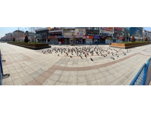 Sokağa Çıkma Yasağından Sonra Sultanbeyli Meydanı Güvercinlere Kaldı