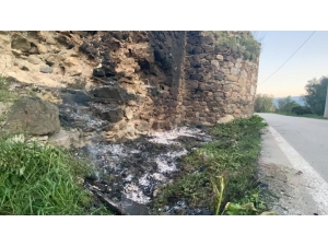 Tarihi Surlara Zeytin Dalı Yakıp Zarar Verdiler