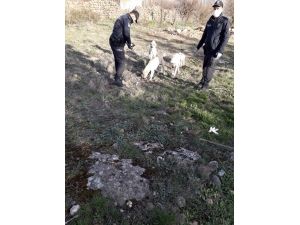 Polisler, Sokak Hayvanlarına Mama Veriyor