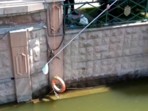 Suya Düşen Kediyi Güvenlik Görevlileri Kurtardı