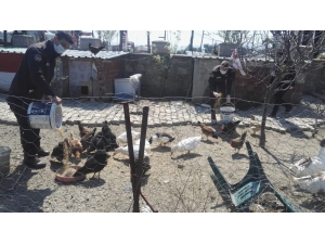 Tavukları İçin 112’den Yem İstedi