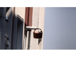 Sokak Sokak Ekmek Dağıtıyorlar