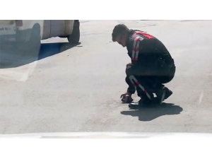 Polis Memurunun Kaplumbağa Duyarlılığı