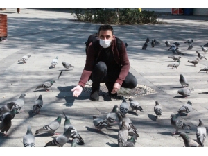 Sokaklar Boş Kalınca Aç Kalan Güvercinleri Gazeteciler Besledi