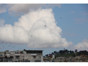 Şanlı Kurtuluşun 100. Yılında 100 Top Atışı