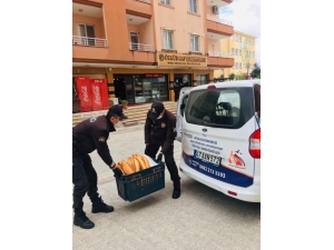 Artuklu Kaymakamlığından Evlere Ekmek Dağıtımı
