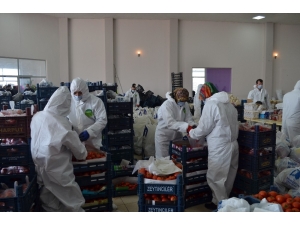 Belediyeden Vatandaşlara Gıda Yardımı