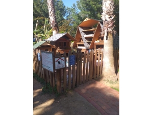 Alanya Belediyesi Sokak Hayvanlarını Unutmadı