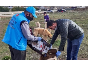 Diyanet İşleri Başkanı Prof. Dr. Ali Erbaş:“milletimize Özveriyle Hizmet Eden Hocalarımıza Teşekkür Ediyorum”