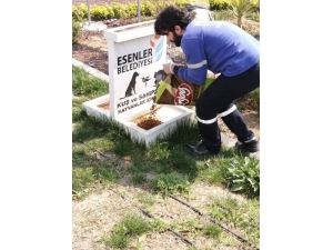 Esenler’de Sokak Hayvanları Unutulmadı