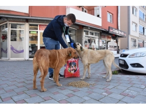 Akhisar Belediyesi Sokağa Çıkma Yasağında Sahipsiz Hayvanları Unutmadı