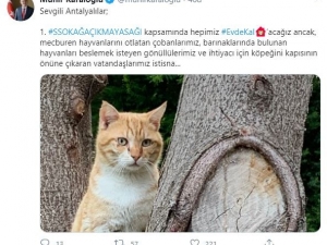 Antalya Valisi’nden Evcil Ve Sokak Hayvanları İçin Önemli Karar