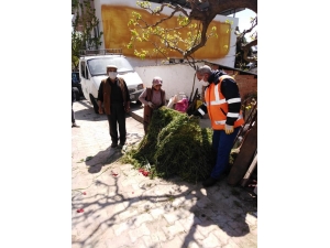 Vatandaş Evden Çıkamayınca, İneklerin Otunu Zabıta Biçip Getirdi