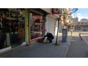 Sokağa Çıkma Yasağında Sokak Hayvanları Unutulmadı