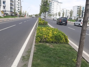 Bağlar Caddelerinde Bahar Havası