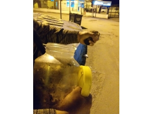 Turşu Bidonundan Sincap Çıktı