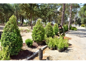 Dokumapark’a Yeşil Yol