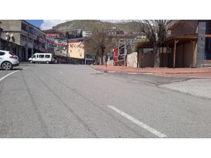 Kulp Sokakları Yasağın İkinci Gününde De Boş Kaldı