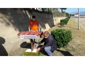 Kuyucak Belediyesi Sokak Hayvanlarının Yanında