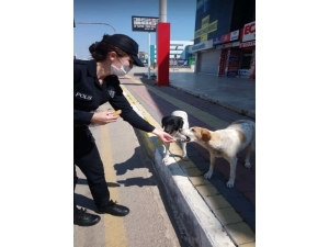 Polis Memurundan İç Isıtan Kareler