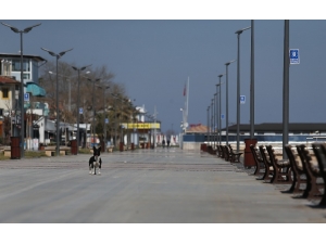 Bursa Sahilleri Kedi, Köpek Ve Güvercinlere Kaldı